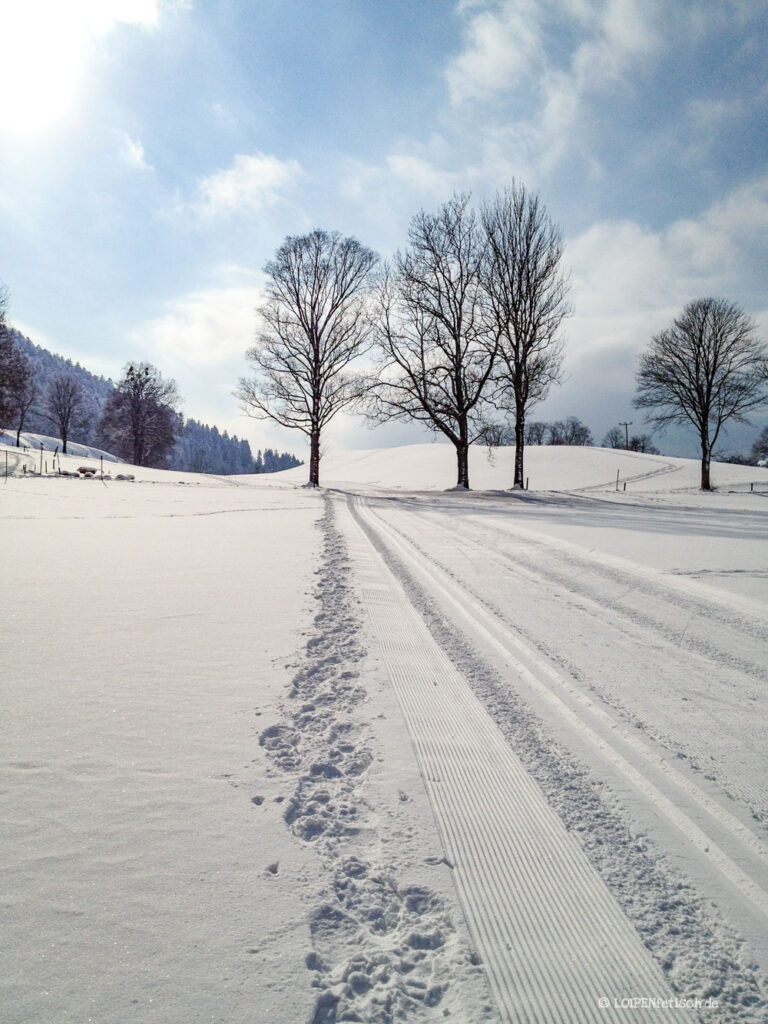 Loipe Gasslerrunde Tegernsee LOIPENfetisch